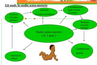 Stadio senso-motorio
( 0- 2 anni )
Gli stadi: lo stadio senso-motorio
Esercizi di
riflessi
Reazioni
Circolari
primarie
Reazioni
Circolari secondarie
Coordinamento
degli schemi
secondari
Reazioni
circolari
terziarie
Combinazioni
mentali
 