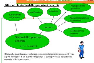 Gli stadi: lo stadio delle operazioni concrete
Stadio delle operazioni
concrete
( 7 – 12 anni )
Il fanciullo diventa capace di tenere conto simultaneamente di prospettive ed
aspetti molteplici di un evento e raggiunge la consapevolezza del carattere
reversibile delle operazioni
Reversibilità
del pensiero
esperienza
classificazione
seriazione
Ragruppamento
gerarchico
Addizionare relazioni
assimetriche
Moltiplicare le
relazioni
 