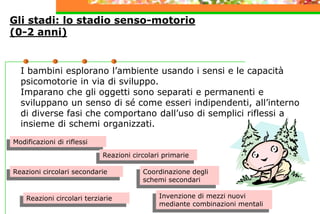 Gli stadi: lo stadio senso-motorio
(0-2 anni)
I bambini esplorano l’ambiente usando i sensi e le capacità
psicomotorie in via di sviluppo.
Imparano che gli oggetti sono separati e permanenti e
sviluppano un senso di sé come esseri indipendenti, all’interno
di diverse fasi che comportano dall’uso di semplici riflessi a
insieme di schemi organizzati.
Reazioni circolari terziarie
Modificazioni di riflessi
Invenzione di mezzi nuovi
mediante combinazioni mentali
Reazioni circolari secondarie
Reazioni circolari primarie
Coordinazione degli
schemi secondari
 