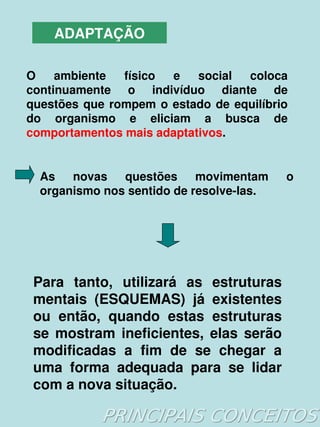 ADAPTAÇÃO

    O  ambiente  físico  e  social  coloca 
    continuamente  o  indivíduo  diante  de 
    questões  que  rompem  o  estado  de  equilíbrio 
    do  organismo  e  eliciam  a  busca  de 
    comportamentos mais adaptativos.


      As  novas  questões  movimentam               o 
      organismo nos sentido de resolve­las.




     Para  tanto,  utilizará  as  estruturas 
     mentais  (ESQUEMAS)  já  existentes 
     ou  então,  quando  estas  estruturas 
     se  mostram  ineficientes,  elas  serão 
     modificadas  a  fim  de  se  chegar  a 
     uma  forma  adequada  para  se  lidar 
     com a nova situação.
                             
 