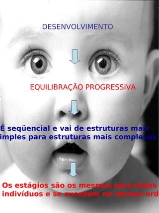DESENVOLVIMENTO




       EQUILIBRAÇÃO PROGRESSIVA




É seqüencial e vai de estruturas mais
imples para estruturas mais complexas




Os estágios são os mesmos para todos
indivíduos e se sucedem na mesma orde
                    
 