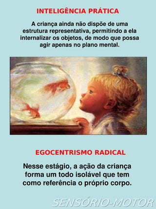 INTELIGÊNCIA PRÁTICA
        A criança ainda não dispõe de uma 
     estrutura representativa, permitindo a ela 
    internalizar os objetos, de modo que possa 
           agir apenas no plano mental.




         EGOCENTRISMO RADICAL

    Nesse estágio, a ação da criança 
     forma um todo isolável que tem 
    como referência o próprio corpo.
                         
 