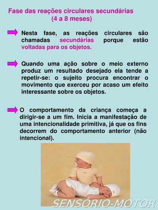 Fase das reações circulares secundárias 
             (4 a 8 meses)

    Nesta  fase,  as  reações  circulares  são 
    chamadas  secundárias  porque  estão 
    voltadas para os objetos.

    Quando  uma  ação  sobre  o  meio  externo 
    produz  um  resultado  desejado  ela  tende  a 
    repetir­se:  o  sujeito  procura  encontrar  o 
    movimento que exerceu por acaso um efeito 
    interessante sobre os objetos.


    O  comportamento  da  criança  começa  a 
    dirigir­se  a  um  fim.  Inicia  a  manifestação  de 
    uma intencionalidade primitiva, já que os fins 
    decorrem  do  comportamento  anterior  (não 
    intencional).




                             
 