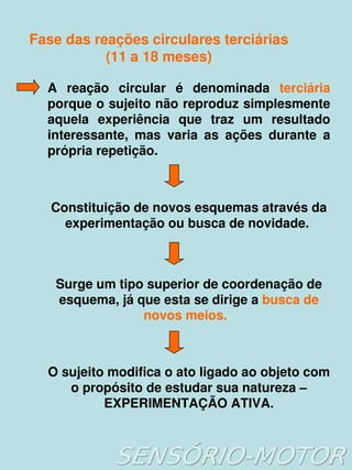 Fase das reações circulares terciárias
               (11 a 18 meses)

      A  reação  circular  é  denominada  terciária
      porque o sujeito não reproduz simplesmente 
      aquela  experiência  que  traz  um  resultado 
      interessante,  mas  varia  as  ações  durante  a 
      própria repetição.



       Constituição de novos esquemas através da 
         experimentação ou busca de novidade. 



       Surge um tipo superior de coordenação de 
       esquema, já que esta se dirige a busca de 
                    novos meios.  



      O sujeito modifica o ato ligado ao objeto com 
         o propósito de estudar sua natureza – 
               EXPERIMENTAÇÃO ATIVA.

                            
 