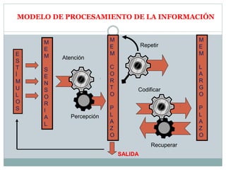 MODELO DE PROCESAMIENTO DE LA INFORMACIÓN
E
S
T
Í
M
U
L
O
S
M
E
M
S
E
N
S
O
R
I
A
L
M
E
M
C
O
R
T
O
P
L
A
Z
O
M
E
M
L
A
R
G
O
P
L
A
Z
O
Atención
Percepción
Repetir
Codificar
Recuperar
SALIDA
 