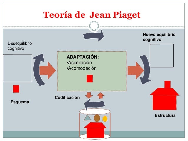 Piaget desequilibrio