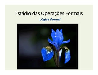 Estádio	
  das	
  Operações	
  Formais	
  
 