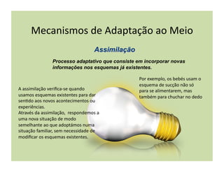 Mecanismos	
  de	
  Adaptação	
  ao	
  Meio	
  

                       Processo adaptativo que consiste em incorporar novas
                       informações nos esquemas já existentes.

                                                            Por	
  exemplo,	
  os	
  bebés	
  usam	
  o	
  
                                                            esquema	
  de	
  sucção	
  não	
  só	
  
A	
  assimilação	
  veriﬁca-­‐se	
  quando	
                para	
  se	
  alimentarem,	
  mas	
  
usamos	
  esquemas	
  existentes	
  para	
  dar	
           também	
  para	
  chuchar	
  no	
  dedo	
  
sen(do	
  aos	
  novos	
  acontecimentos	
  ou	
  
experiências.	
  
Através	
  da	
  assimilação,	
  	
  respondemos	
  a	
  
uma	
  nova	
  situação	
  de	
  modo	
  
semelhante	
  ao	
  que	
  adoptámos	
  numa	
  
situação	
  familiar,	
  sem	
  necessidade	
  de	
  
modiﬁcar	
  os	
  esquemas	
  existentes.	
  
 