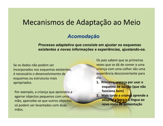 Mecanismos	
  de	
  Adaptação	
  ao	
  Meio	
  

                        Processo adaptativo que consiste em ajustar os esquemas
                        existentes a novas informações e experiências, ajustando-os.

                                                               Os	
  pais	
  sabem	
  que	
  as	
  primeiras	
  
Se	
  os	
  dados	
  não	
  podem	
  ser	
                     vezes	
  que	
  se	
  dá	
  de	
  comer	
  a	
  uma	
  
incorporados	
  nos	
  esquemas	
  existentes,	
               criança	
  com	
  uma	
  colher	
  são	
  uma	
  
é	
  necessário	
  o	
  desenvolvimento	
  de	
                experiência	
  desconcertante	
  para	
  
esquemas	
  ou	
  estruturas	
  mais	
                         ela:	
  
apropriados.	
                                                 1.  Primeiro	
  começa	
  por	
  usar	
  o	
  
                                                                     esquema	
  de	
  sucção	
  (que	
  não	
  
 Por	
  exemplo,	
  a	
  criança	
  que	
  aprendeu	
  a	
           funciona	
  bem)	
  
 agarrar	
  objectos	
  pequenos	
  com	
  uma	
               2.  Mais	
  tarde	
  a	
  criança	
  aprende	
  a	
  
 mão,	
  apercebe-­‐se	
  que	
  outros	
  objectos	
                adaptar	
  a	
  boca	
  e	
  a	
  língua	
  ao	
  
 só	
  podem	
  ser	
  levantados	
  com	
  duas	
                   novo	
  meio	
  de	
  alimentação	
  
 mãos.	
  
 