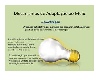 Mecanismos	
  de	
  Adaptação	
  ao	
  Meio	
  

                         Processo adaptativo que consiste em procurar estabelecer um
                         equilíbrio entre assimilação e acomodação.



A	
  equilibração	
  é	
  o	
  verdadeiro	
  motor	
  do	
  
desenvolvimento.	
  
Promove	
  a	
  alternância	
  entre	
  
assimilação	
  e	
  acomodação	
  e	
  o	
  
equilíbrio	
  entre	
  as	
  duas.	
  

 É	
  a	
  equilibração	
  que	
  nos	
  conduz	
  a	
  
 patamares	
  superiores	
  de	
  equilíbrio.	
  
 Nunca	
  existe	
  um	
  total	
  equilíbrio	
  entre	
  
 assimilação	
  e	
  acomodação.	
  
 