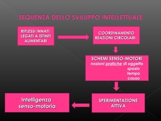 RIFLESSI INNATI
LEGATI A ISTINTI
ALIMENTARI

COORDINAMENTO
REAZIONI CIRCOLARI

SCHEMI SENSO-MOTORI

nozioni pratiche di oggetto
spazio
tempo
causa

Intelligenza
senso-motoria

SPERIMENTAZIONE
ATTIVA

 
