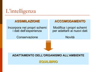 ASSIMILAZIONE
Incorpora nei propri schemi
i dati dell’esperienza
Conservazione
ADATTAMENTO DELL’ORGANISMO ALL’AMBIENTE
EQUILIBRIO
ACCOMODAMENTO
Modifica i propri schemi
per adattarli ai nuovi dati
Novità
L’intelligenza
 