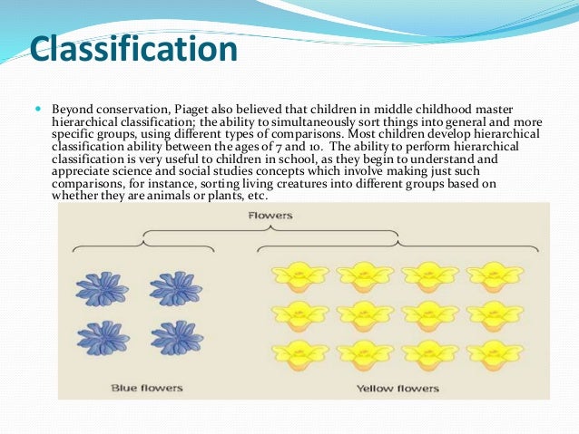 concrete operational stage conservation