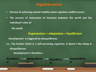 cognitive disequilibrium piaget