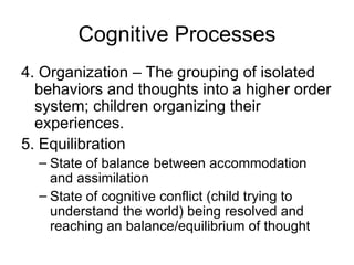 Cognitive Processes 4. Organization – The g rouping of isolated behaviors and thoughts into a higher order system; children organizing their experiences.  5. Equilibration State of balance between accommodation and assimilation State of cognitive conflict (child trying to understand the world) being resolved and reaching an balance/equilibrium of thought 