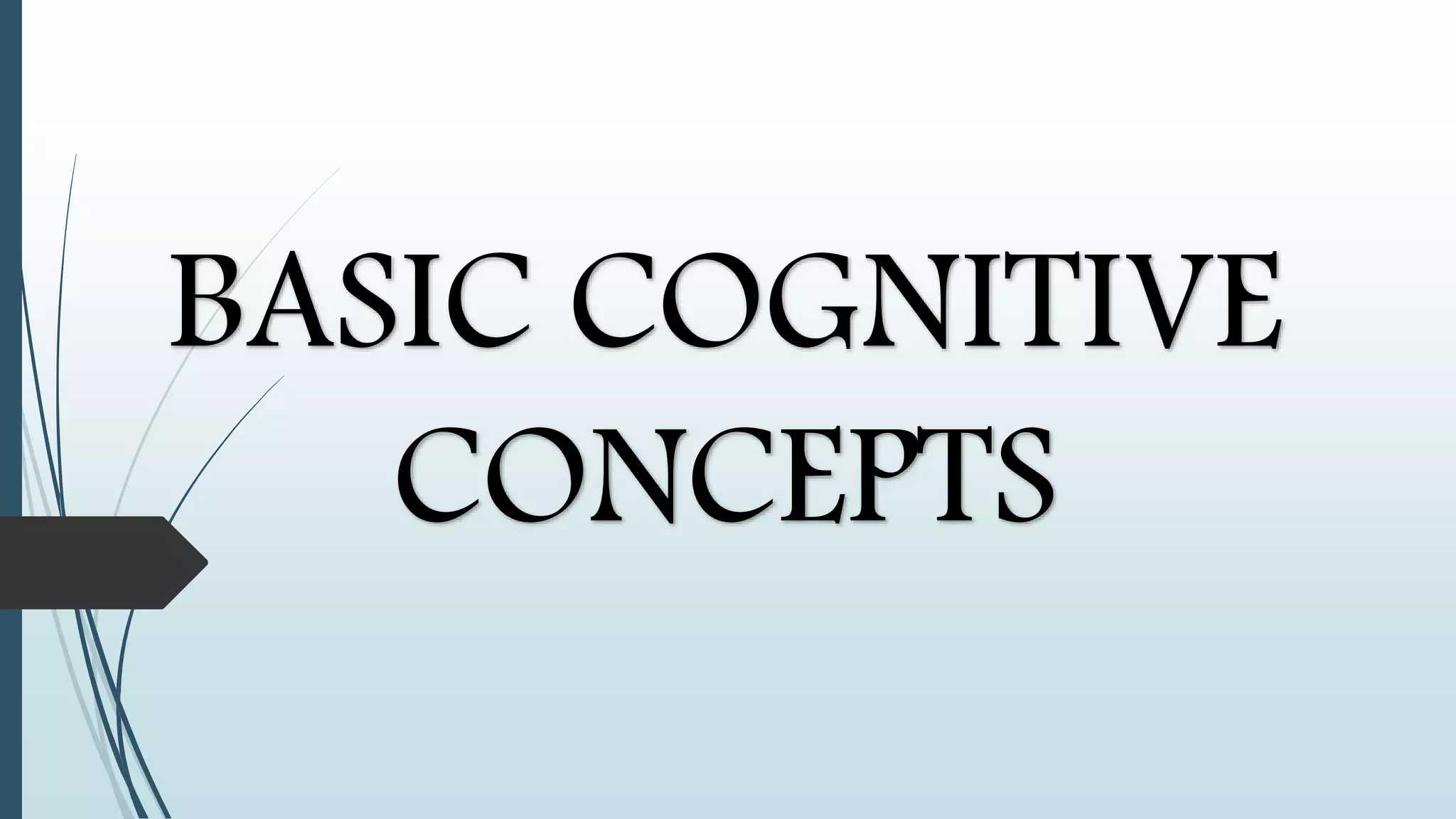 BASIC COGNITIVE
CONCEPTS
 