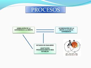 ASIMILACIÓN DE LA
EXPERIENCIA A LA MENTE
ACOMODACIÓN DE LA
MENTE A LA NUEVA
EXPERIENCIA
ESTADOS DE EQUILIBRIO
ADAPTACIÓN
PROGRESIVAMENTE MAS
ESTABLES
PROCESOS
 