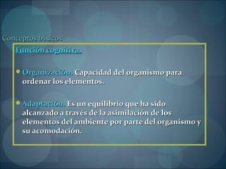 Conceptos básicosConceptos básicos
Función cognitiva.Función cognitiva.
Organización.Organización. Capacidad del organismo paraCapacidad del organismo para
ordenar los elementos.ordenar los elementos.
Adaptación.Adaptación. Es un equilibrio que ha sidoEs un equilibrio que ha sido
alcanzado a través de la asimilación de losalcanzado a través de la asimilación de los
elementos del ambiente por parte del organismo yelementos del ambiente por parte del organismo y
su acomodación.su acomodación.
 