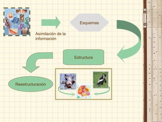 Esquemas
Asimilación de la
información
Estructura
Reestructuración
 