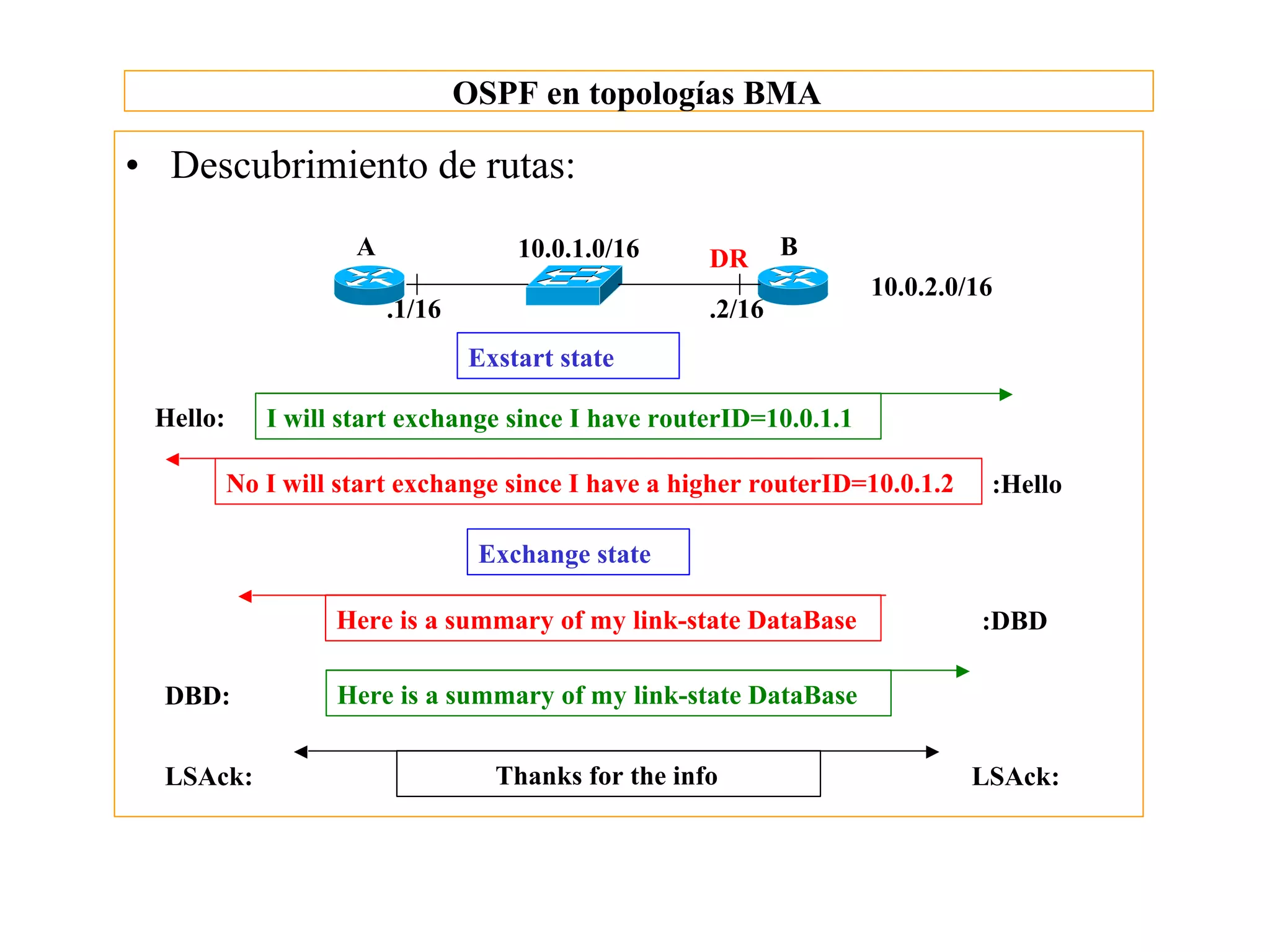 OSPF en topologías BMA

• Descubrimiento de rutas:
                     A               10.0.1.0/16     DR      B
                                                                    10.0.2.0/16
                         .1/16                       .2/16
                                 Exstart state

 Hello:      I will start exchange since I have routerID=10.0.1.1

          No I will start exchange since I have a higher routerID=10.0.1.2    :Hello

                                  Exchange state

                   Here is a summary of my link-state DataBase                :DBD

  DBD:             Here is a summary of my link-state DataBase


  LSAck:                           Thanks for the info                       LSAck:
 