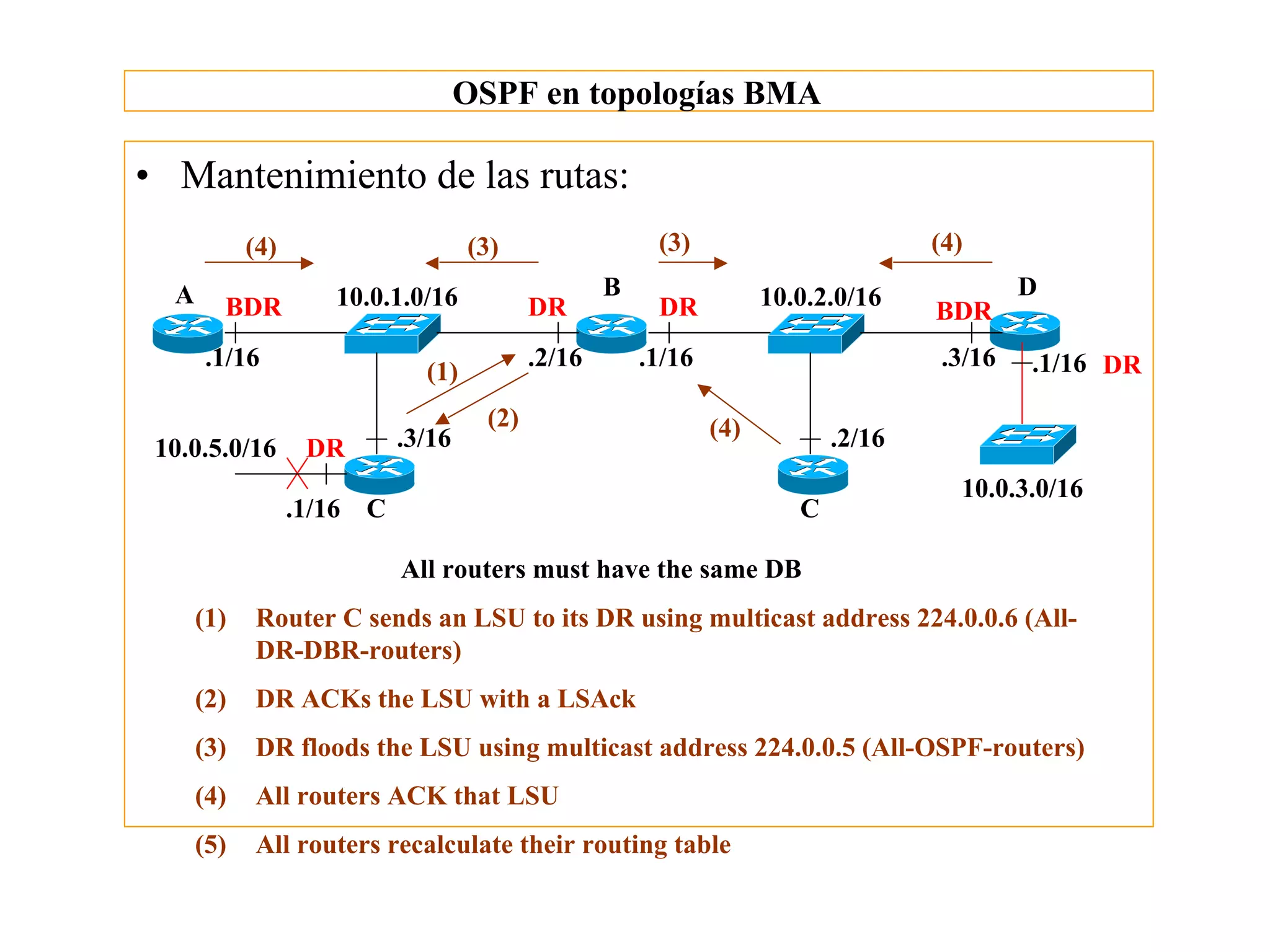 OSPF en topologías BMA

• Mantenimiento de las rutas:
            (4)                     (3)                  (3)                         (4)
  A                  10.0.1.0/16                    B                 10.0.2.0/16            D
        BDR                                 DR           DR                          BDR
      .1/16                                 .2/16       .1/16                        .3/16   .1/16 DR
                              (1)
                                      (2)                       (4)
 10.0.5.0/16       DR       .3/16                                            .2/16
                                                                                       10.0.3.0/16
                  .1/16 C                                                C

                            All routers must have the same DB
      (1)   Router C sends an LSU to its DR using multicast address 224.0.0.6 (All-
            DR-DBR-routers)
      (2)   DR ACKs the LSU with a LSAck
      (3)   DR floods the LSU using multicast address 224.0.0.5 (All-OSPF-routers)
      (4)   All routers ACK that LSU
      (5)   All routers recalculate their routing table
 