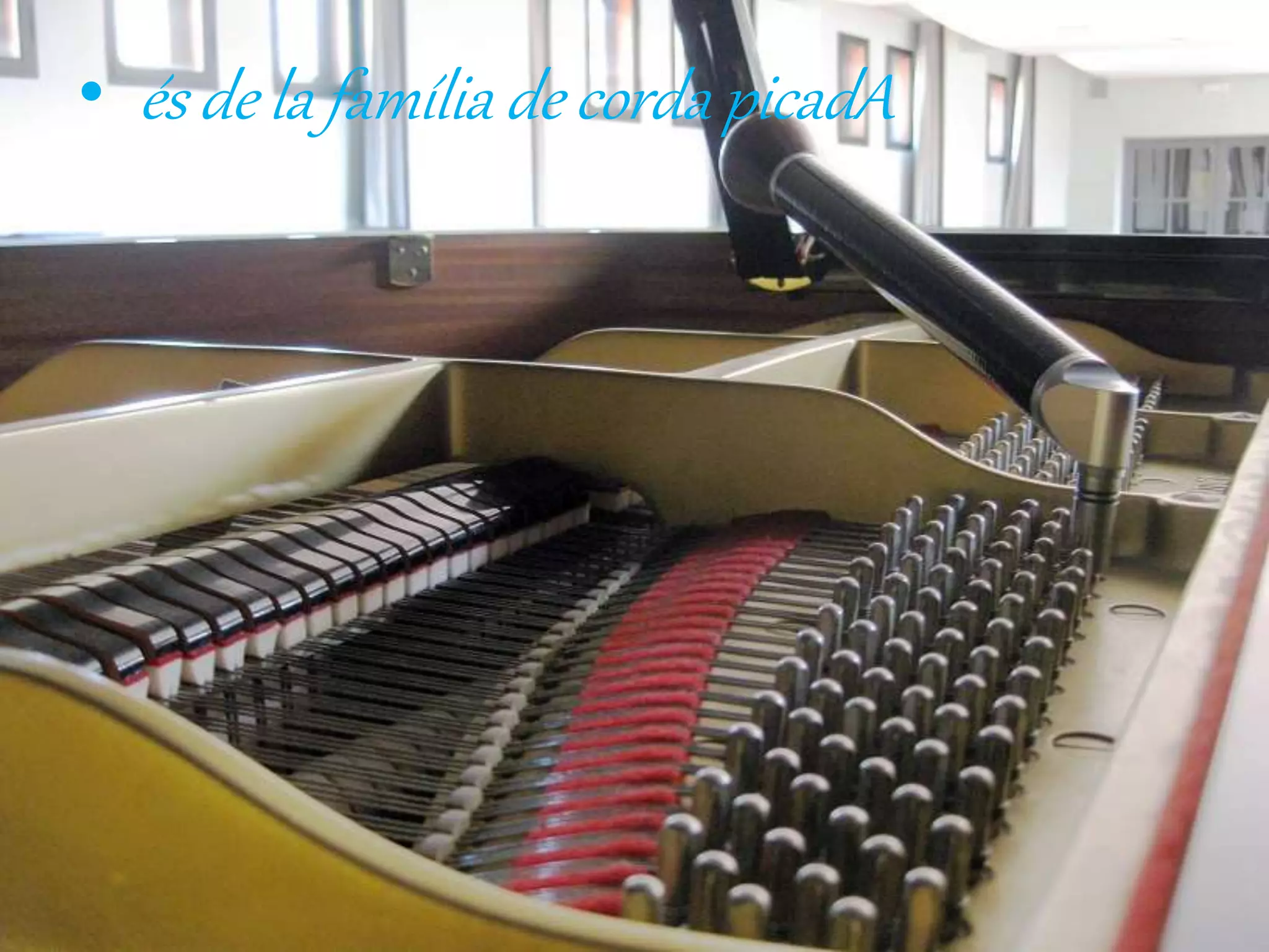• és de la família de corda picadA
 