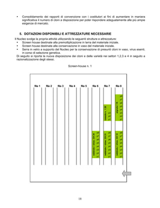 •    Consolidamento dei rapporti di convenzione con i costitutori ai fini di aumentare in maniera
      significativa il numero di cloni a disposizione per poter rispondere adeguatamente alle più ampie
      esigenze di mercato.


     5. DOTAZIONI DISPONIBILI E ATTREZZATURE NECESSARIE
Il Nucleo svolge la propria attività utilizzando le seguenti strutture e attrezzature:
   •    Screen house destinate alla premoltiplicazione in terra del materiale iniziale.
   •    Screen house destinate alla conservazione in vaso del materiale iniziale.
   •    Serra in vetro a supporto del Nucleo per la conservazione di presunti cloni in vaso, virus esenti,
        in corso di selezione genetica.
   Di seguito si riporta la nuova disposizione dei cloni e delle varietà nei settori 1,2,3 e 4 in seguito a
   razionalizzazione degli stessi.

                                            Screen-house n. 1




                fila 1   fila 2    fila 3   fila 4    fila 5    fila 6                         fila 7                         fila 8


                                                                                                                                                        p8
                                                                                                                                                        p7
                                                                                                                                                        p6




                                                                                                                              pignola I 18
                                                                                               rossola n. I 29                                          p5
                                                                                                                                                        p4
                                                                                                                         p3                             p3
                                                                                                                         p2                             p2
                                                                                                                         p1                             p1




                                                                                          p8                             p8                             p8
                                                                nebbiolo / chiav. CH 34




                                                                                               nebbiolo / chiav. CH 21




                                                                                                                              nebbiolo / chiav. CH 12




                                                                                          p7                             p7                             p7
                                                                                          p6                             p6                             p6
                                                                                          p5                             p5                             p5
                                                                                          p4                             p4                             p4
                                                                                          p3                             p3                             p3
                                                                                          p2                             p2                             p2
                                                                                          p1                             p1                             p1




                                                     18
 