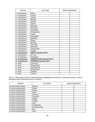 SPECIE                         CULTIVAR                         ANNI DI IMPIANTO
          V. corymbosum          Duke                                                      3
          V. corymbosum          Aurora                                                    3
          V. corymbosum          Liberty                                                   3
          V. corymbosum          Brigitta                                                  3
          V. corymbosum          Draper                                                    3
          V. corymbosum          Patriot                                                   3
          V. corymbosum          Bluecrop                                                  3
          V. corymbosum          Emerald                                                   3
          V. corymbosum          Ozarkblue                                                 3
          V. corymbosum          Primadonna                                                3
          V. corymbosum          Jewel                                                     2
          V. corymbosum          Springwide                                                2
          V. corymbosum          Berkeley                                                  3
          V. corymbosum          Biloxy                                                    3
          V. corymbosum          Bluetta                                                   3
          V. corymbosum          Chandler                                                  2
          V. corymbosum          Elisabeth                                                 2
          V. corymbosum          Giorgia gem                                               2
          V. corymbosum          Legacy                                                    2
          V. corymbosum          MISTY (impianto 2011)                                     2
          V. corymbosum          O' neal                                                   2
          V. corymbosum          Sharpblue                                                 2
          V. corymbosum          DENISE BLUE (impianto 2011)                               2
          V. corymbosum          POPPINS (impianto 2011)                                   2
          V. ashei               Centurion                                                 2
          V. ashei               Snowchaser                                                2
          V. ashei               Ochlockonee                                               2
          V. ashei               Powed blue                                                2
          V. ashei               Alapaha                                                   2
          V. ashei               Vernon                                                    2

Tab. 14 - Elenco delle cultivar di mirtillo Siberiano (Lonicera kamtschatica) in coltivazione presso i campi di
Postalesio della Fondazione Fojanini di Sondrio.

             SPECIE                                  CULTIVAR                          ANNI DI IMPIANTO
 Lonicera kamtschatica             Morena                                                        2
 Lonicera kamtschatica             Fialka                                                        2
 Lonicera kamtschatica             Anfora                                                        2
 Lonicera kamtschatica             Viola                                                         2
 Lonicera kamtschatica             Tomicka                                                       2
 Lonicera kamtschatica             Valchova                                                      2
 Lonicera kamtschatica             Wojtek                                                        2
 Lonicera kamtschatica             Vetreno                                                       2
 Lonicera kamtschatica             Jarni                                                         2
 Lonicera kamtschatica             Vasilijevska                                                  2
 Lonicera kamtschatica             Pruhowick letin                                               2
 Lonicera kamtschatica             Aut                                                           2
 Lonicera kamtschatica             Duet                                                          2

                                                        46
 