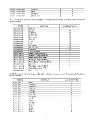 Lonicera kamtschatica             Warzawa                                                      2
 Lonicera kamtschatica             Altaj                                                        2
 Lonicera kamtschatica             Sinoglaska                                                   2
 Lonicera kamtschatica             Sinaja-ptica                                                 2

Tab.15 - Elenco delle cultivar di lampone unifero in coltivazione presso i campi di Postalesio della Fondazione
Fojanini di Sondrio.

             SPECIE                               CULTIVAR                        ANNI DI IMPIANTO
       Rubus ideus L.         Chilliwak
       Rubus ideus L.         Claudia                                                      10
       Rubus ideus L.         Em6429/6                                                     10
       Rubus ideus L.         Em6514/53                                                    10
       Rubus ideus L.         Glen ample                                                   10
       Rubus ideus L.         Oam-w2                                                       10
       Rubus ideus L.         Pcs-1                                                        10
       Rubus ideus L.         Pcs2                                                         10
       Rubus ideus L.         Sel. 6390/47                                                 10
       Rubus ideus L.         Sel. 6511/50                                                 10
       Rubus ideus L.         Tulameen                                                     10
       Rubus ideus L.         Cascade delight                                               2
       Rubus ideus L.         SJR941-1 (impianto2011)                                       1
       Rubus ideus L.         BC1-88-6 - (impianto2011)                                     1
       Rubus ideus L.         SJR44.2 (impianto 2011)                                       1
       Rubus ideus L.         Tulamagic (impianto 2011)                                     1
       Rubus ideus L.         Autum tresure (impianto 2011)                                 1
       Rubus ideus L.         Cowichan                                                      2
       Rubus ideus L.         Alpengold (impianto 2011)                                     1
       Rubus ideus L.         Rubyfall (impianto 2011)                                      1
       Rubus ideus L.         Sjr941 - 2011                                                 1

Tab. 16 - Elenco delle cultivar di lampone rifiorente in coltivazione presso i campi di Postalesio della Fondazione
Fojanini di Sondrio.

             SPECIE                                CULTIVAR                         ANNI DI IMPIANTO
      Rubus ideus L.          Anne                                                           10
      Rubus ideus L.          Caroline                                                       10
      Rubus ideus L.          Em6505/7                                                       10
      Rubus ideus L.          Glen lyon                                                      10
      Rubus ideus L.          Heritage                                                       10
      Rubus ideus L.          Himbotop                                                       5
      Rubus ideus L.          Joan irene                                                     4
      Rubus ideus L.          Josephine                                                      10
      Rubus ideus L.          Mtb-f1                                                         10
      Rubus ideus L.          Nd-f1                                                          10
      Rubus ideus L.          Pbp-b2                                                         10
      Rubus ideus L.          Polana                                                         10
      Rubus ideus L.          Polka                                                          4
      Rubus ideus L.          Qeg-f1                                                         10
      Rubus ideus L.          Sugana                                                         2

                                                       47
 