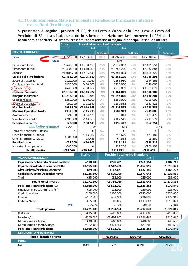 Business plan srl 07 picture