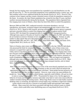 Instead, the free-ranging mute swan population has expanded in size and distribution over the
past 20 years (Fig. 1). The two downstate populations were established nearly a century ago, and
their numbers seem to have stabilized during the last decade (Swift et al. 2013). However, they
continue to have impacts and they remain a potential source of birds for population expansion in
the future. In contrast, the Lake Ontario population has existed for less than 25 years, and their
numbers increased dramatically during the last decade. This population likely originated from
free-ranging mute swans in Ontario, where there has been little effort to control the population.
Between 2004 and 2008, DEC conducted research to document abundance, survival,
reproduction, movements, ecological impacts and management of mute swans in New York
(Swift et al. 2013). Based on that research, growing concerns about invasive species in general,
and more concerted efforts to control free-ranging mute swans throughout eastern North
America, DEC developed this management plan to replace the 1993 management policy.
Although many aspects of the plan are based on information from studies by DEC and others, we
do not include an extensive literature review and citations in this document. Instead, we refer
readers to other reports that serve that purpose (e.g., Allin et al. 1987, Ciaranca et al. 1997,
Maryland DNR 2001 and 2011, AFC 2003, Rhode Island DEM 2006, Craves and Susko 2010,
Virginia DGIF 2012, Swift et al. 2013).
Native to Eurasia, mute swans were first brought to New York in the late 1800s by individuals
who possessed the birds for ornamental purposes. Around 1910, some of these swans were
released or escaped from captivity, establishing free-ranging populations in the lower Hudson
Valley and on Long Island (McGowan and Corwin 2008). Since then, free-ranging mute swans
have become common throughout these areas and their range has expanded northward. During
the past 25 years, mute swans have also become established around Lake Ontario, primarily as a
result of population expansion from the province of Ontario. They are largely non-migratory,
although some mute swans move south during severe winter weather (Swift et al. 2013). Mute
swans typically occur in coastal bays and wetlands, in large emergent marshes, and on inland
lakes, rivers and ponds.
Mute swans are conspicuous birds that occur in some of the most densely populated areas of the
state. Mute swans have little or no fear of humans so they are easily observed and provide
opportunities for people to come in close contact with them. Some people become protective of
individual birds that they encounter regularly. However, mute swans can cause problems for
people too. Some swans will directly attack humans, especially small children, who get too close
to nests or young (Ciaranca et al. 1997). The potential for injury is low, but the aggressive
behavior of swans can be a serious nuisance and render some land or water areas inaccessible for
outdoor recreation during the nesting season. Where large flocks occur on water bodies used for
drinking water or swimming, the deposition of fecal matter may contribute to high fecal coliform
counts which in turn may be a concern to local public health and municipal water supply
officials. Mute swans have also been associated with high fecal coliform counts in coastal
waters, which could affect some shellfishing areas on Long Island (Swift et al. 2013).

Page 2 of 11

 