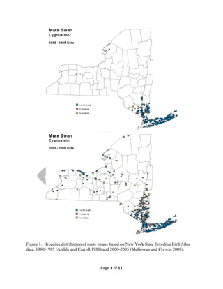Figure 1. Breeding distribution of mute swans based on New York State Breeding Bird Atlas
data, 1980-1985 (Andrle and Carroll 1988) and 2000-2005 (McGowan and Corwin 2008).

Page 3 of 11

 