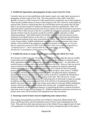 2. Prohibit the importation and propagation of mute swans in (to) New York.
Currently, there are no clear prohibitions on the import, export, sale, trade, barter, possession or
propagation of mute swans in New York. The only restriction is that a DEC Game Bird
Breeder’s License or a DEC License to Collect and Possess is required for any of these purposes.
Those licenses prohibit release of swans or their progeny to the wild. However, many people are
unaware that a license is required and there are swan breeders across the country that will ship
birds to any location (except to California or Maryland, which have prohibitions). DEC will
adopt and enforce regulations pursuant to the Invasive Species law (Environmental Conservation
Law 09-1709) or other sections of the ECL to prohibit the importation, possession, propagation
and sale of mute swans by any person except for scientific research, education, or other
authorized purposes. Such authorizations will include conditions to prevent and recover any
intentional or accidental releases to the wild, e.g., total enclosure or pinioning and sterilization,
and permanent marking of any mute swans possessed in New York. Known suppliers of mute
swans, license holders, wildlife rehabilitators and anyone else known to possess mute swans
already, will be notified of the regulations once they are enacted. (Note: under new Invasive
Species regulations proposed by DEC in October 2013, mute swan would be designated as a
“prohibited species”, which would prohibit the sale, importation, purchase, transport,
introduction, or propagation of mute swans in New York.)
3. Prohibit the release or escape of captive mute swans into the wild in New York.
ECL Section 11-0507 states that “No person shall willfully liberate within the state any wildlife
except under permit from the department…These provisions do not apply to migratory game
birds, importation of which is governed by regulation of the department.” As noted above, all
current licenses to possess mute swans prohibit releases to the wild. However, there are several
areas of confusion and concern, including the apparent exception for migratory game birds
(which mute swans are in some cases, according to the ECL) and the fact that some people
possess mute swans without a license or they do not think of captive mute swans as “wildlife”
(so they may not know that release is prohibited). DEC will adopt and enforce regulations
pursuant to the Invasive Species law, or other section of the ECL, to prohibit the intentional or
accidental releases of mute swans or their progeny to the wild. This will involve: 1) total
enclosure; 2) pinioning and sterilization; or 3) pinioning only of swans kept in single-sex groups.
In addition, any mute swans possessed in New York will have to be permanently marked to
identify who owns each one. In the case of mute swans taken to a licensed wildlife rehabilitator,
licenses will be amended to prohibit release back into the wild. Acceptable disposition will
include euthanasia, use for zoological purposes, or transferring the birds to someone licensed to
keep mute swans in captivity (see Strategy #5). Wildlife rehabilitators and anyone else known to
possess mute swans will be notified of the regulations once they are enacted.
4. Encourage control of mute swans in neighboring states and provinces.
Free-ranging swan populations currently exist in Ontario, Connecticut, Rhode Island, New
Jersey, and Pennsylvania, and all are potential sources of mute swans immigrating into New
York. These and most other states and provinces in the Atlantic Flyway support control of mute
swan populations, as indicated by their adoption of a flyway management plan for this species
Page 6 of 11

 