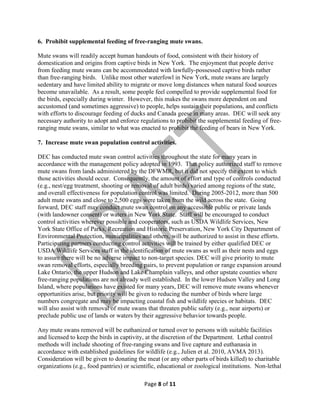 6. Prohibit supplemental feeding of free-ranging mute swans.
Mute swans will readily accept human handouts of food, consistent with their history of
domestication and origins from captive birds in New York. The enjoyment that people derive
from feeding mute swans can be accommodated with lawfully-possessed captive birds rather
than free-ranging birds. Unlike most other waterfowl in New York, mute swans are largely
sedentary and have limited ability to migrate or move long distances when natural food sources
become unavailable. As a result, some people feel compelled to provide supplemental food for
the birds, especially during winter. However, this makes the swans more dependent on and
accustomed (and sometimes aggressive) to people, helps sustain their populations, and conflicts
with efforts to discourage feeding of ducks and Canada geese in many areas. DEC will seek any
necessary authority to adopt and enforce regulations to prohibit the supplemental feeding of freeranging mute swans, similar to what was enacted to prohibit the feeding of bears in New York.
7. Increase mute swan population control activities.
DEC has conducted mute swan control activities throughout the state for many years in
accordance with the management policy adopted in 1993. That policy authorized staff to remove
mute swans from lands administered by the DFWMR, but it did not specify the extent to which
those activities should occur. Consequently, the amount of effort and type of controls conducted
(e.g., nest/egg treatment, shooting or removal of adult birds) varied among regions of the state,
and overall effectiveness for population control was limited. During 2005-2012, more than 500
adult mute swans and close to 2,500 eggs were taken from the wild across the state. Going
forward, DEC staff may conduct mute swan control on any accessible public or private lands
(with landowner consent) or waters in New York State. Staff will be encouraged to conduct
control activities wherever possible and cooperators, such as USDA Wildlife Services, New
York State Office of Parks, Recreation and Historic Preservation, New York City Department of
Environmental Protection, municipalities and others, will be authorized to assist in these efforts.
Participating partners conducting control activities will be trained by either qualified DEC or
USDA Wildlife Services staff in the identification of mute swans as well as their nests and eggs
to assure there will be no adverse impact to non-target species. DEC will give priority to mute
swan removal efforts, especially breeding pairs, to prevent population or range expansion around
Lake Ontario, the upper Hudson and Lake Champlain valleys, and other upstate counties where
free-ranging populations are not already well established. In the lower Hudson Valley and Long
Island, where populations have existed for many years, DEC will remove mute swans whenever
opportunities arise, but priority will be given to reducing the number of birds where large
numbers congregate and may be impacting coastal fish and wildlife species or habitats. DEC
will also assist with removal of mute swans that threaten public safety (e.g., near airports) or
preclude public use of lands or waters by their aggressive behavior towards people.
Any mute swans removed will be euthanized or turned over to persons with suitable facilities
and licensed to keep the birds in captivity, at the discretion of the Department. Lethal control
methods will include shooting of free-ranging swans and live capture and euthanasia in
accordance with established guidelines for wildlife (e.g., Julien et al. 2010, AVMA 2013).
Consideration will be given to donating the meat (or any other parts of birds killed) to charitable
organizations (e.g., food pantries) or scientific, educational or zoological institutions. Non-lethal
Page 8 of 11

 