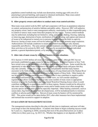 population control methods may include nest destruction, treating eggs with corn oil or
puncturing to prevent hatching, and surgical or chemical sterilization. Mute swan control
activities will be documented and evaluated by DEC.
8. Allow property owners and others to conduct mute swan control activities.
Most mute swan control work by DEC staff and cooperators will focus on population reduction
or control, and protection of sensitive habitats and public safety. However, DEC will authorize
any property owner, land or water management authority, municipality or other responsible party
to control or remove mute swans from their property for any reason. Various control methods
may be authorized, including but not limited to: oiling, puncturing, shaking, freezing, replacing
or removing eggs; destruction of nests; sterilization of birds; shooting; and capture and removal
of swans to be euthanized or turned over to persons licensed to keep the birds in captivity.
However, hazing of mute swans will not be authorized, as this could promote range expansion.
Authorizations will include conditions to ensure that control measures are safe, humane,
responsible and effective. The same animal care and treatment considerations will be applied to
these activities as for actions by DEC staff. This may be accomplished through individual
permits, a general depredation permit, or by adoption of regulations.
9. Allow take of mute swans by waterfowl hunters in some situations.
ECL Section 11-0103 defines all swans as “migratory game birds”, although DEC has not
previously established an open season for taking mute swans. Waterfowl hunters in New York
have mixed views on the desirability of allowing them to take mute swans. Some would like the
opportunity to take these birds in addition to the various species of ducks and geese that they
may take currently. Swans are a large, impressive, and palatable bird that many hunters
encounter in the field already, especially in coastal areas of Long Island and in the Hudson River
estuary where we are very concerned about ecological impacts of these birds. Other hunters do
not favor a swan hunting season because of concerns that it may contribute to negative public
attitudes toward hunting. In consideration of these views, we will consider adopting a
regulation that allows waterfowl hunters to take some number of mute swans in appropriate
locations (e.g., in the Southeastern and Long Island Waterfowl Hunting Zones) where it could
contribute significantly to population control in those regions. Hunters would not be allowed to
take mute swans in areas where trumpeter swans and/or tundra swans occur often enough that
accurate species identification would be especially important. Other hunting constraints, such as
season dates, bag limits, distance from developed areas, will be included primarily to minimize
conflicts or adverse public reaction. Harvest of mute swans by hunters will be monitored by
DEC. This action would not be taken before 2015, after other measures have been implemented
and outreach has occurred to support its adoption.
EVALUATION OF MANAGEMENT SUCCESS
The management actions described in this plan will take time to implement, and most will take
even longer to have the desired effects. A realistic time frame to begin evaluating success would
be 5 years (i.e., beginning in 2020), assuming that most of the prescribed actions are in place
within two to three years (e.g., by 2015-16). Whether that happens or not depends on DEC’s
Page 9 of 11

 