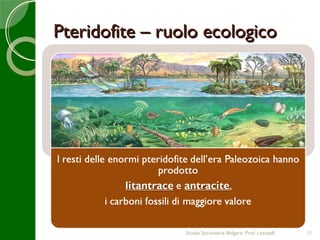 Pteridofite – ruolo ecologico




                 Scuola Secondaria Bolgare. Prof. Locatelli   11
 