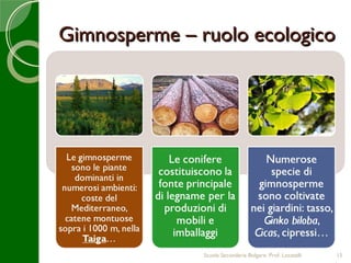 Gimnosperme – ruolo ecologico




               Scuola Secondaria Bolgare. Prof. Locatelli   15
 