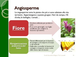 Angiosperme
Le angiosperme sono le piante che più si sono adattate alla vita
terrestre. Appartengono a questo gruppo i fiori da campo, i fili
d’erba, le latifoglie, i cereali…




                                  Scuola Secondaria Bolgare. Prof. Locatelli   16
 