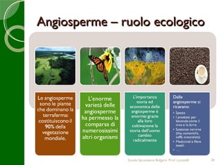 Angiosperme – ruolo ecologico




               Scuola Secondaria Bolgare. Prof. Locatelli   20
 