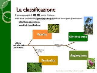 La classificazione
Si conoscono più di 300 000 specie di piante.
Sono state suddivise in 4 gruppi principali in base a due principi ordinatori:
   ◦ struttura anatomica
   ◦ modi di riproduzione




                                                Scuola Secondaria Bolgare. Prof. Locatelli   5
 