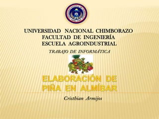 UNIVERSIDAD   NACIONAL  CHIMBORAZO FACULTAD  DE  INGENIERÍA    ESCUELAAGROINDUSTRIAL TRABAJO  DE  INFORMÁTICA ELABORACIÓN  DE  PIÑA  EN  ALMÍBAR Cristhian  Armijos 