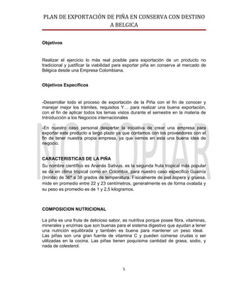 Piña trabajo final (ultimo)