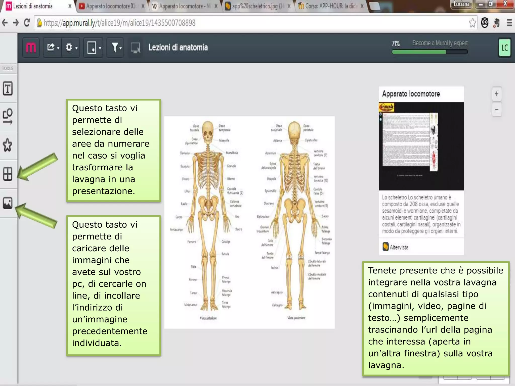 Questo tasto vi
permette di
selezionare delle
aree da numerare
nel caso si voglia
trasformare la
lavagna in una
presentazione.
Questo tasto vi
permette di
caricare delle
immagini che
avete sul vostro
pc, di cercarle on
line, di incollare
l’indirizzo di
un’immagine
precedentemente
individuata.
Tenete presente che è possibile
integrare nella vostra lavagna
contenuti di qualsiasi tipo
(immagini, video, pagine di
testo…) semplicemente
trascinando l’url della pagina
che interessa (aperta in
un’altra finestra) sulla vostra
lavagna.
 
