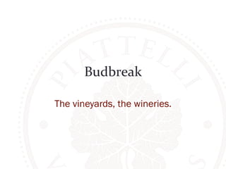 Budbreak 
The vineyards, the wineries. 
 