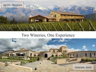Agrelo, Mendoza 
Two Wineries, One Experience 
Cafayate, Salta 
 