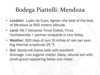 Bodega 
Piattelli: 
Mendoza 
• Location: Lujàn de Cuyo, Agrelo—the best of the best 
of Mendoza at 940 meters altitude. 
• Land: 48.7 hectares: Finca Cobos, Finca 
Cochabamba + partner vineyards in Uco Valley. 
• Weather: 300 days of sun; 8 inches of rain per year. 
Avg thermal amplitude 25°F. 
• Soil: Sandy-silt loamy soils with excellent 
drainage. Low organic matter. Deep, alluvial soil with 
small gravel appearing below one meter. 
 