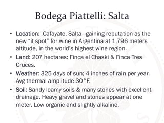 Bodega 
Piattelli: 
Salta 
• Location: Cafayate, Salta—gaining reputation as the 
new “it spot” for wine in Argentina at 1,796 meters 
altitude, in the world’s highest wine region. 
• Land: 207 hectares: Finca el Chaski & Finca Tres 
Cruces. 
• Weather: 325 days of sun; 4 inches of rain per year. 
Avg thermal amplitude 30°F. 
• Soil: Sandy loamy soils & many stones with excellent 
drainage. Heavy gravel and stones appear at one 
meter. Low organic and slightly alkaline. 
 