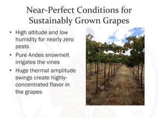 Near-­‐Perfect 
Conditions 
for 
Sustainably 
Grown 
Grapes 
• High altitude and low 
humidity for nearly zero 
pests 
• Pure Andes snowmelt 
irrigates the vines 
• Huge thermal amplitude 
swings create highly-concentrated 
flavor in 
the grapes 
 