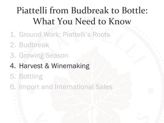 Piattelli 
from 
Budbreak 
to 
Bottle: 
What 
You 
Need 
to 
Know 
1. Ground Work: Piattelli’s Roots 
2. Budbreak 
3. Growing Season 
4. Harvest & Winemaking 
5. Bottling 
6. Import and International Sales 
 