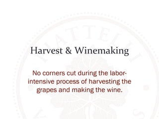 Harvest 
& 
Winemaking 
No corners cut during the labor-intensive 
process of harvesting the 
grapes and making the wine. 
 